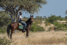 South Africa-Waterberg/Mashatu-African Explorer Horse Safari